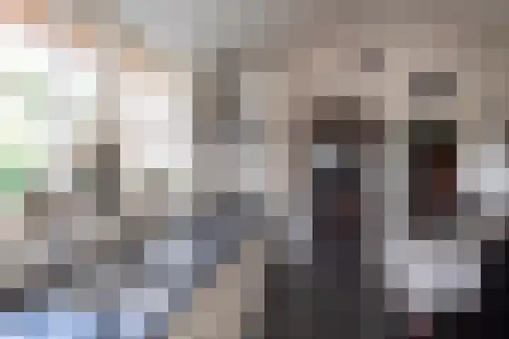Voorthuizerstraat 91 Putten thumbnail 8
