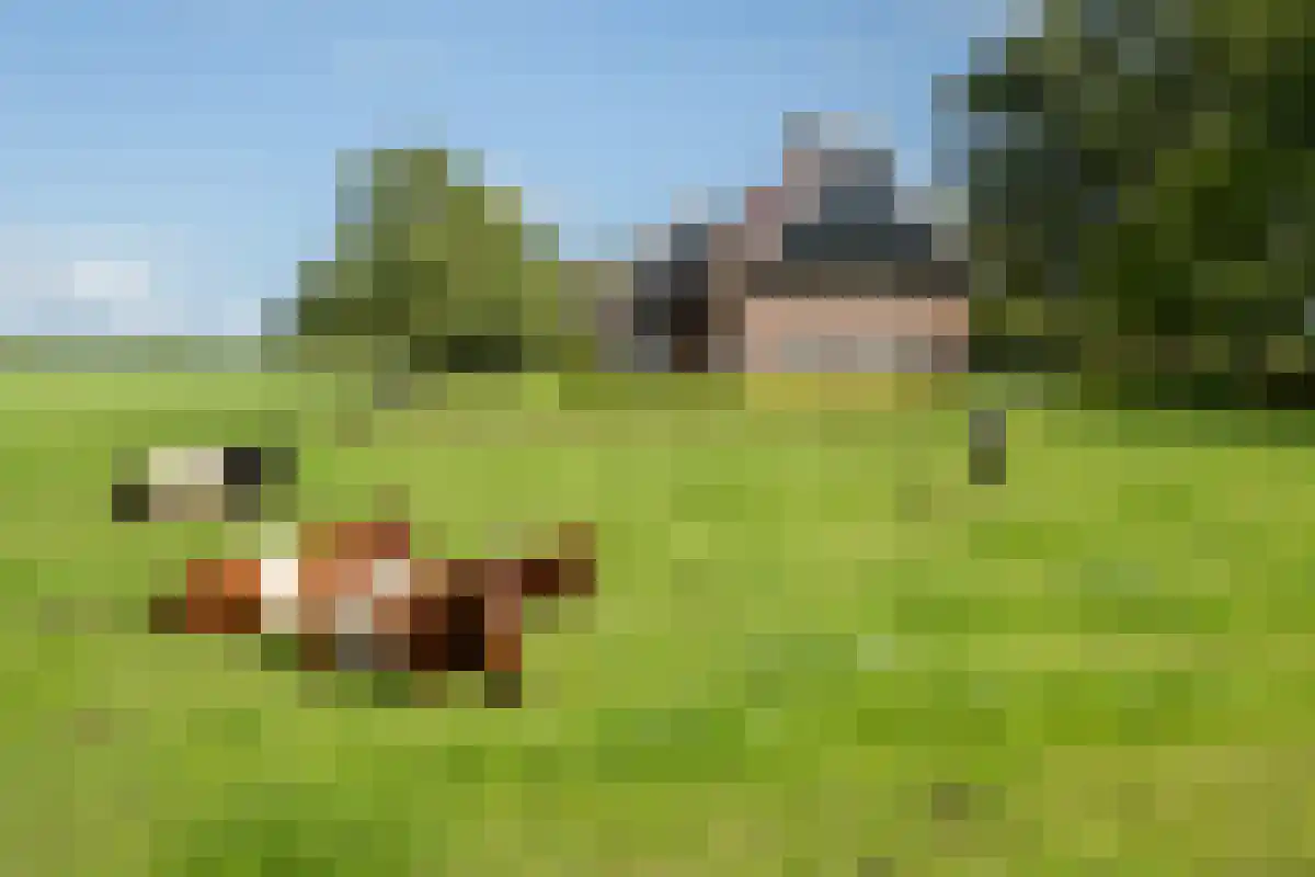 Voortmansweg 8 Beuningen