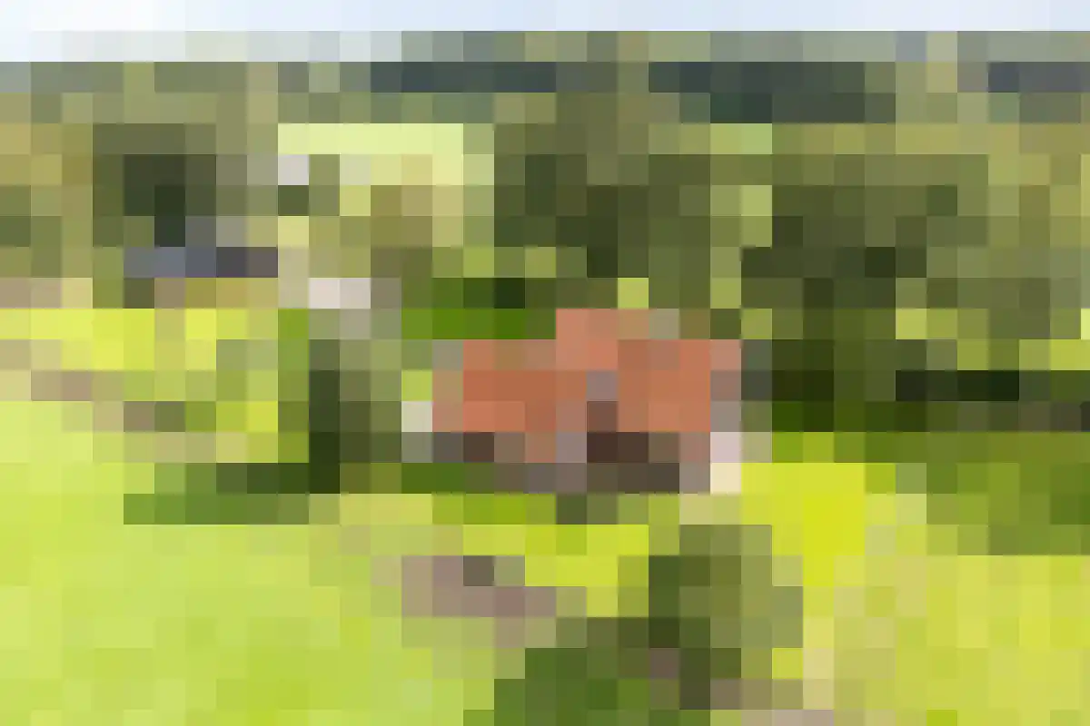 Voortmansweg 8 Beuningen thumbnail 4