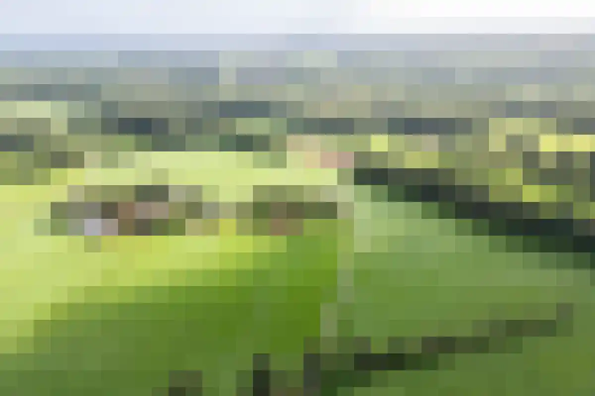 Voortmansweg 8 Beuningen thumbnail 7