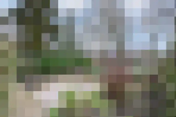 Voortmanweg 3 Deventer thumbnail 31