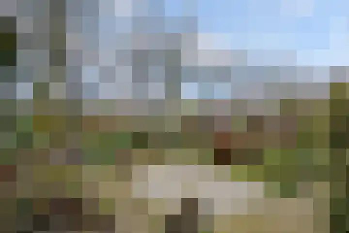 Voortmanweg 3 Deventer thumbnail 32