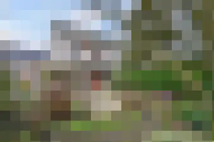 Voortmanweg 3 Deventer thumbnail 36