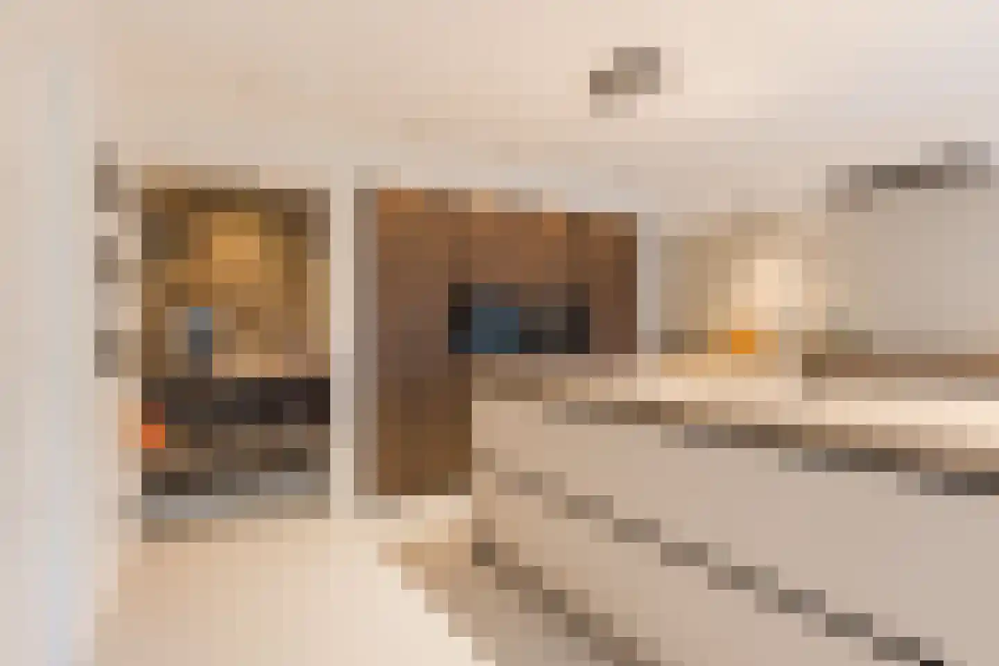 Voortsepad 37 Hilvarenbeek thumbnail 14