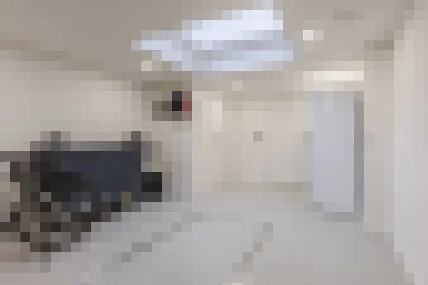 Voortsepad 37 Hilvarenbeek thumbnail 17