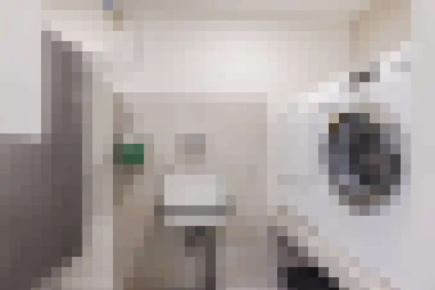Voortsepad 37 Hilvarenbeek thumbnail 18