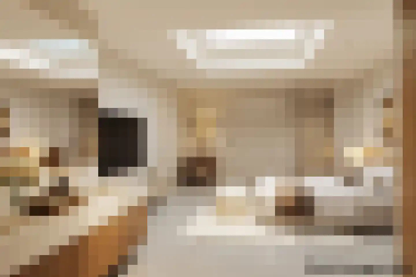 Voortsepad 37 Hilvarenbeek thumbnail 18