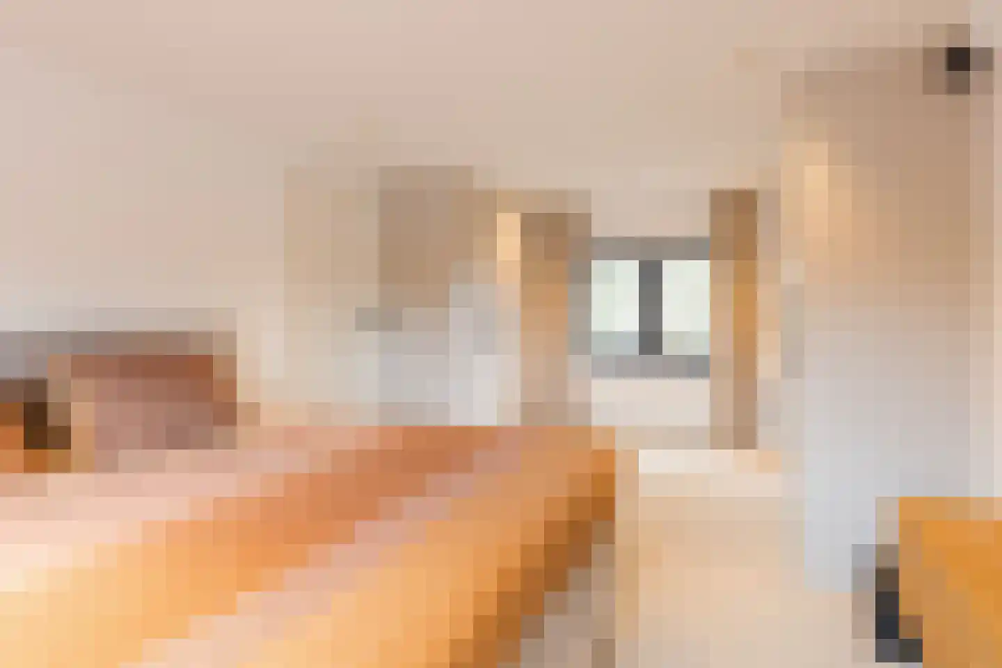 Voortsepad 37 Hilvarenbeek thumbnail 24