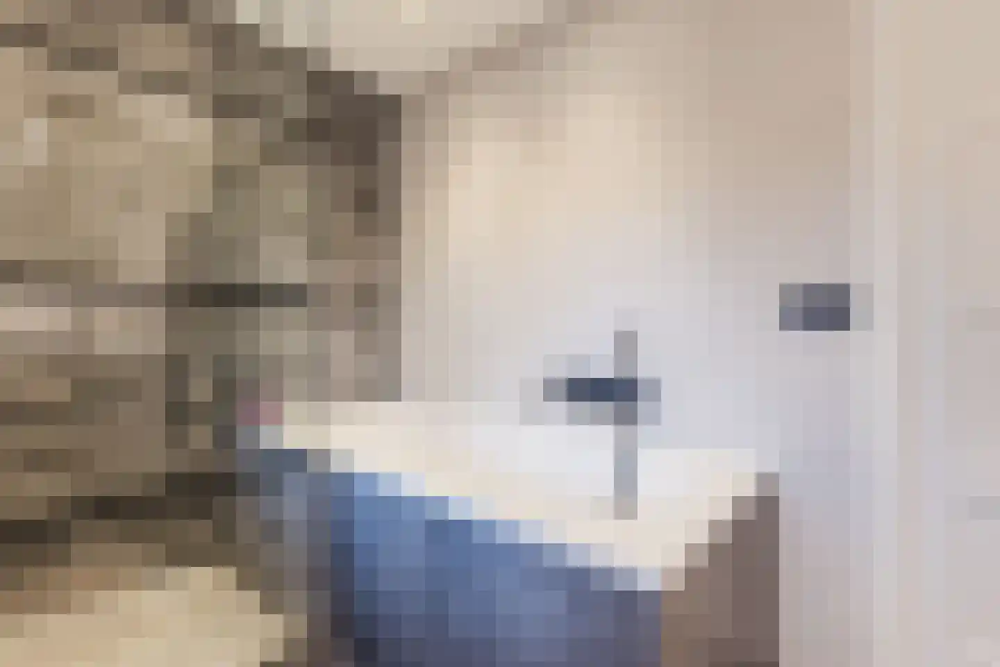 Voortsepad 37 Hilvarenbeek thumbnail 29