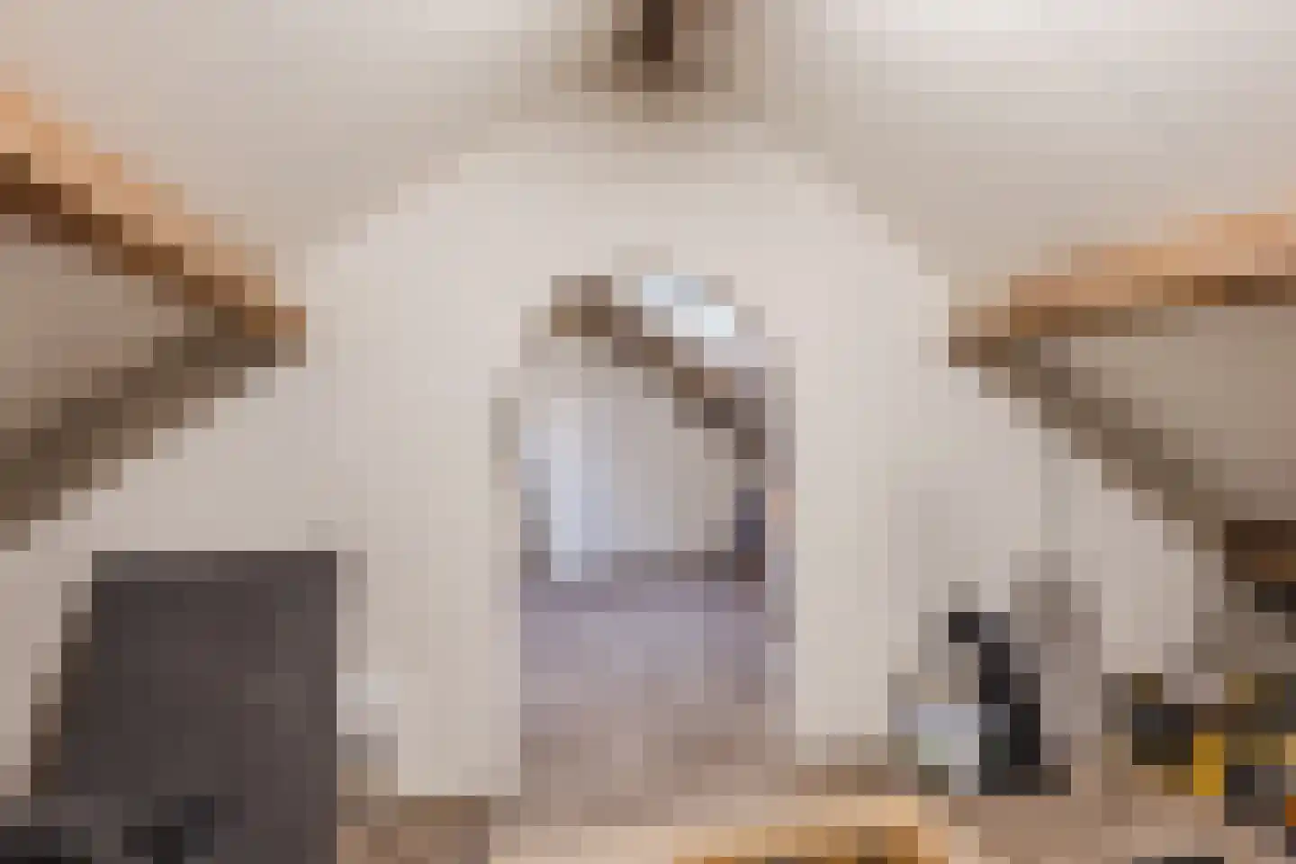 Voortsepad 37 Hilvarenbeek thumbnail 32