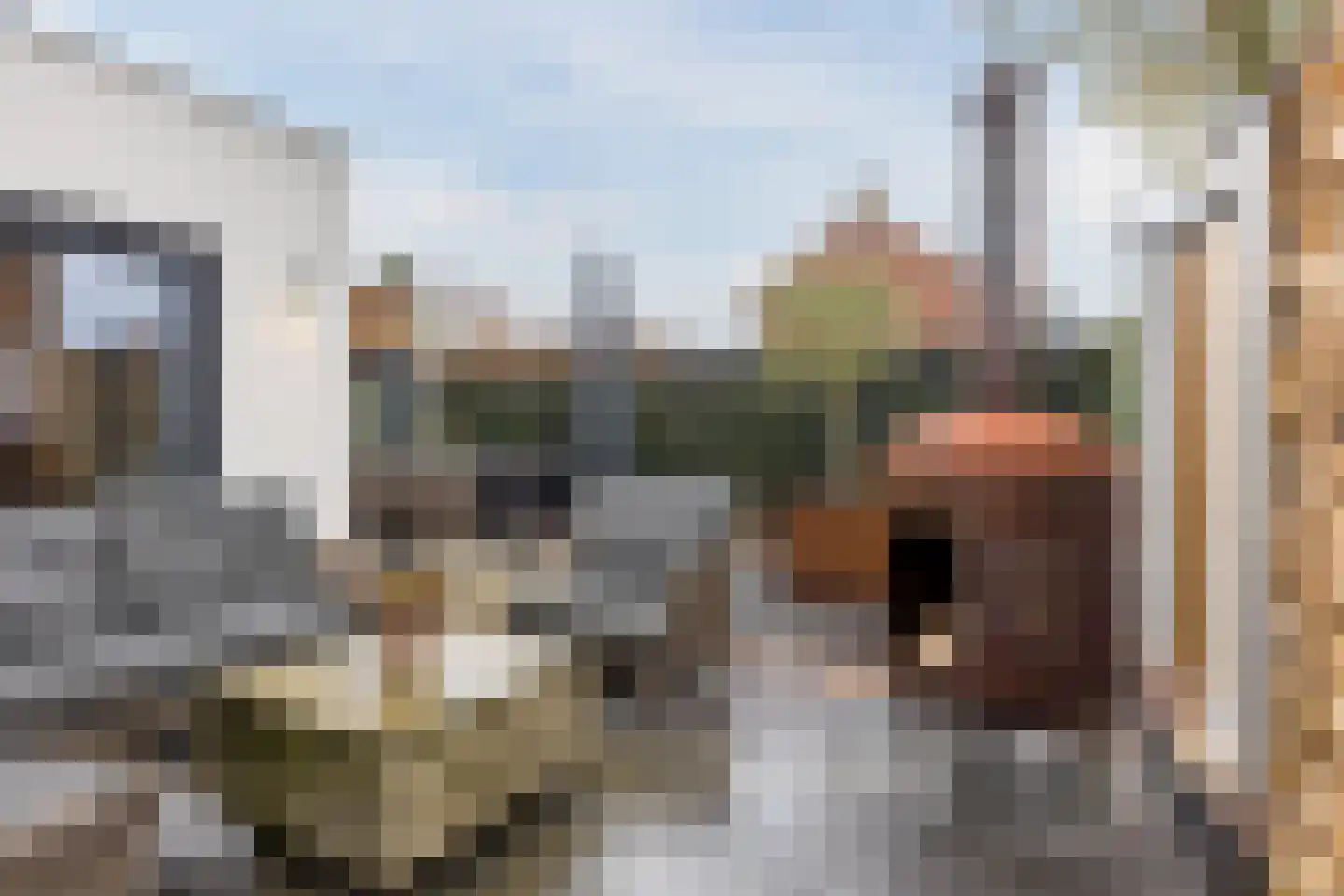 Voortsepad 37 Hilvarenbeek thumbnail 34