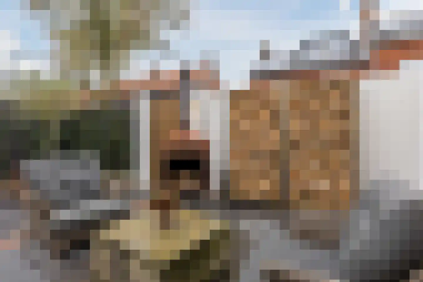 Voortsepad 37 Hilvarenbeek thumbnail 35