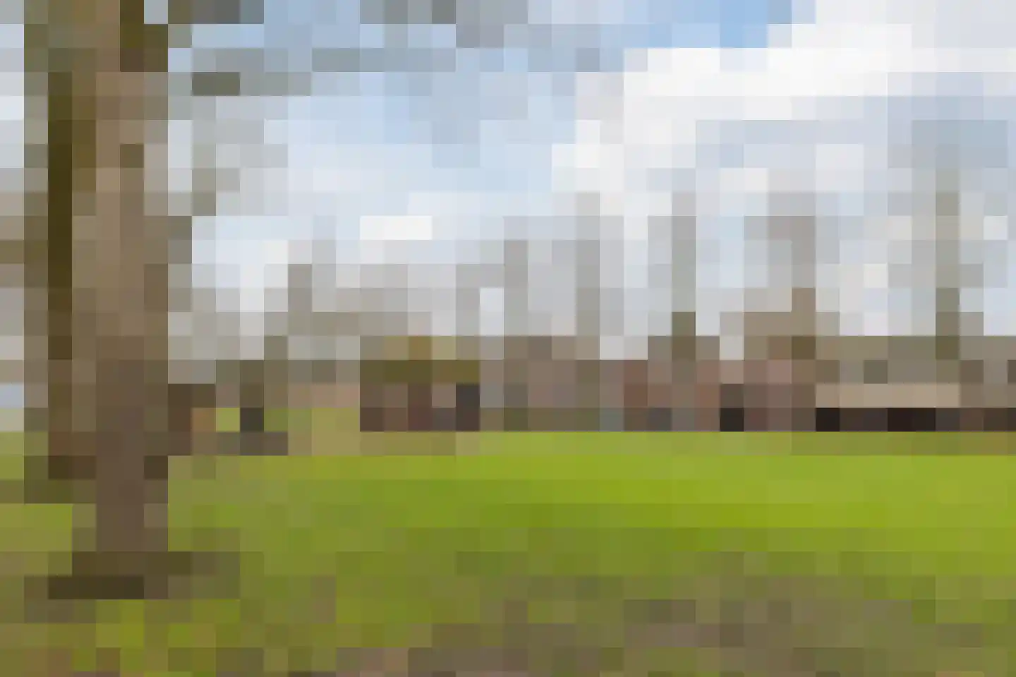 Voortsepad 37 Hilvarenbeek thumbnail 41