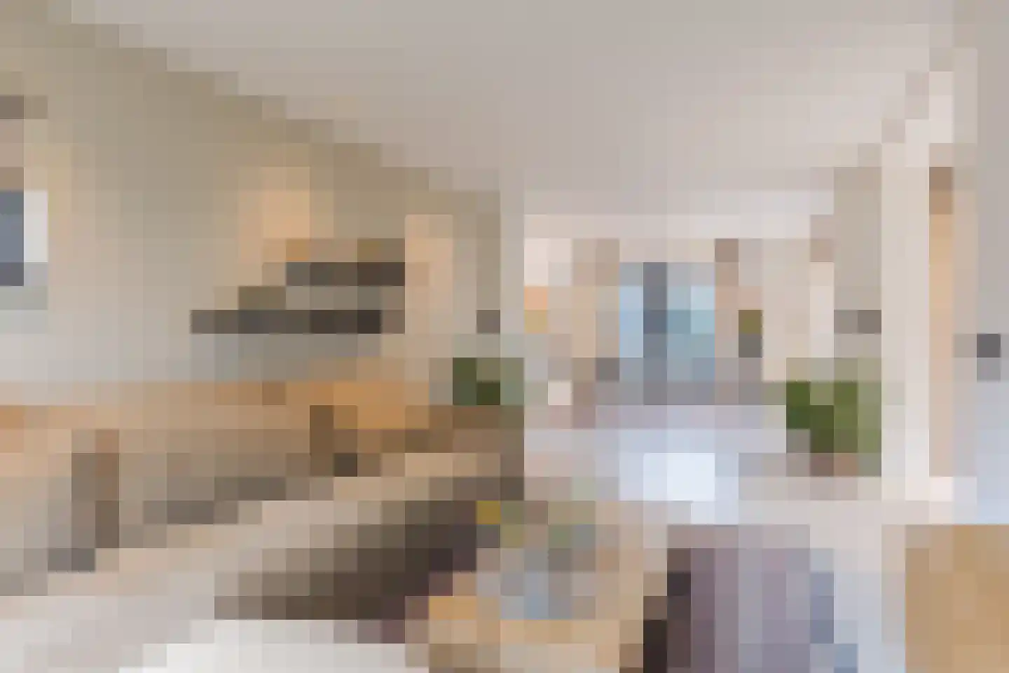 Voortsepad 37 Hilvarenbeek thumbnail 6