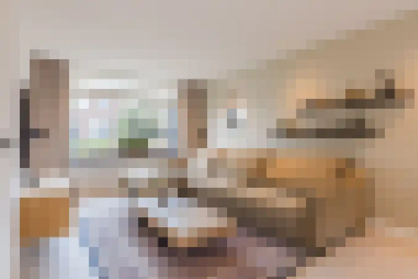 Voortsepad 37 Hilvarenbeek thumbnail 8