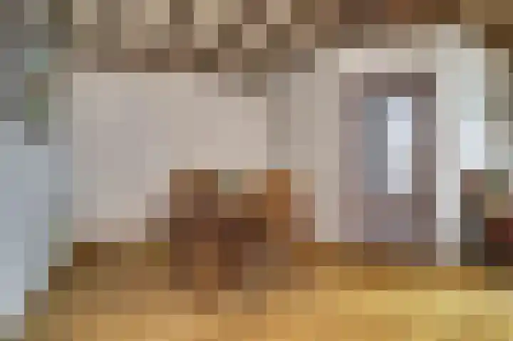 Voortsepad 47 Hilvarenbeek thumbnail 10
