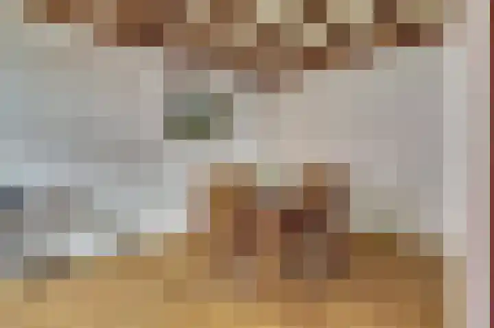 Voortsepad 47 Hilvarenbeek thumbnail 11