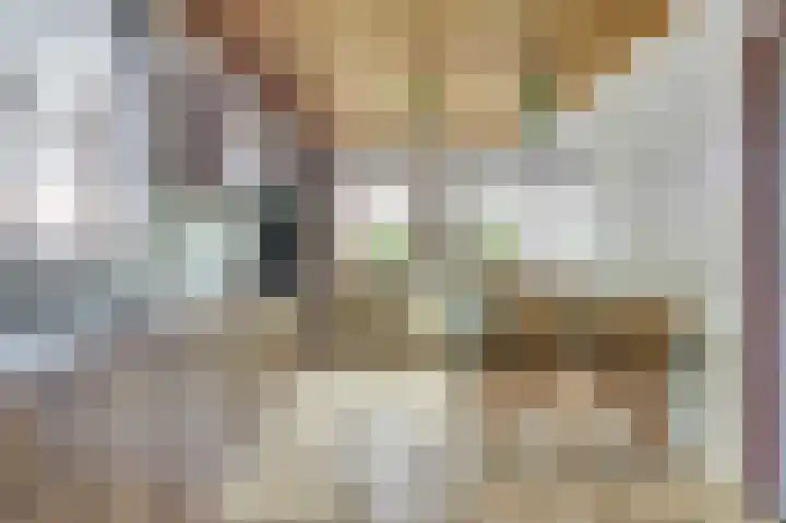 Voortsepad 47 Hilvarenbeek thumbnail 12