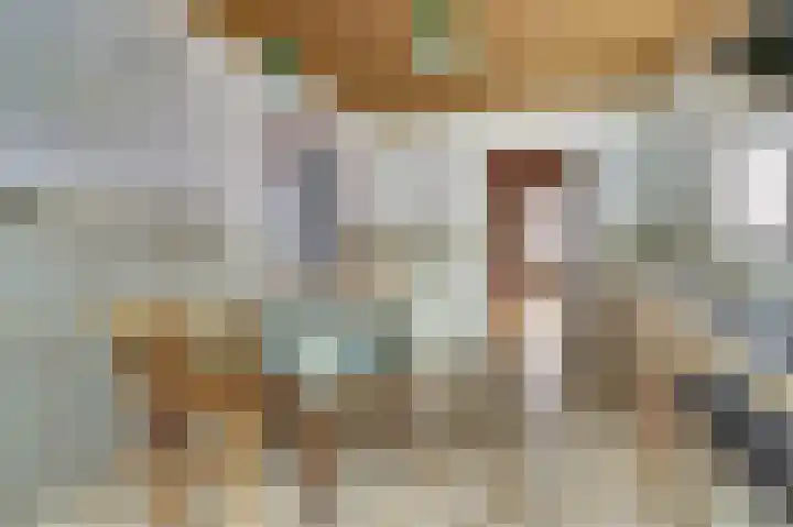 Voortsepad 47 Hilvarenbeek thumbnail 13