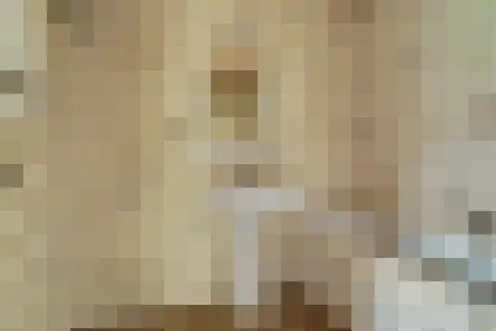 Voortsepad 47 Hilvarenbeek thumbnail 17