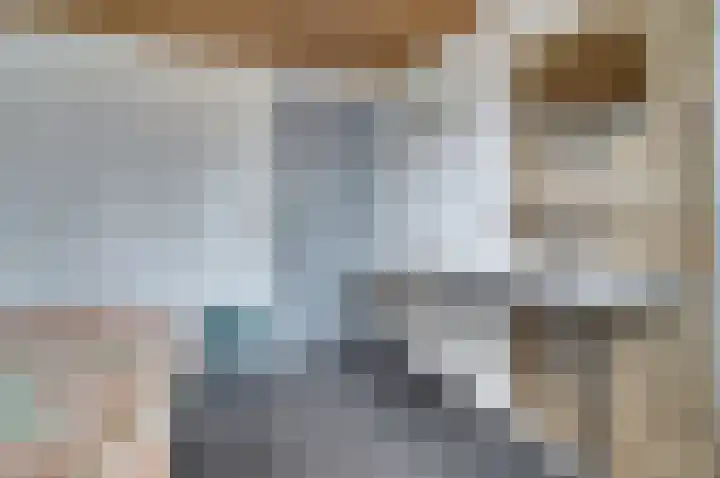 Voortsepad 47 Hilvarenbeek thumbnail 20