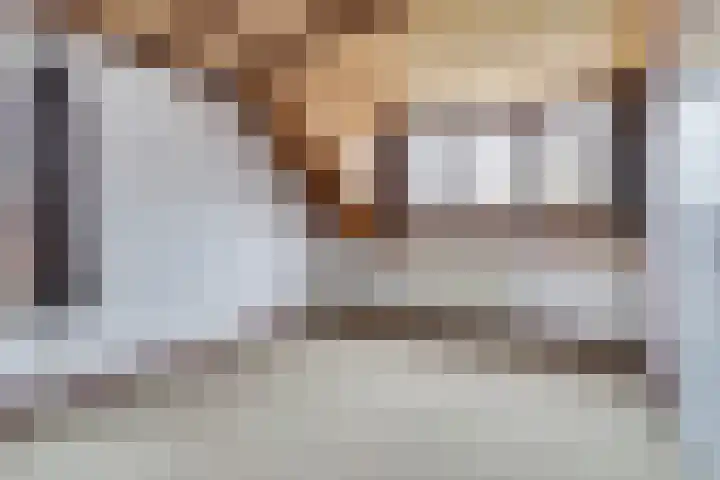 Voortsepad 47 Hilvarenbeek thumbnail 21