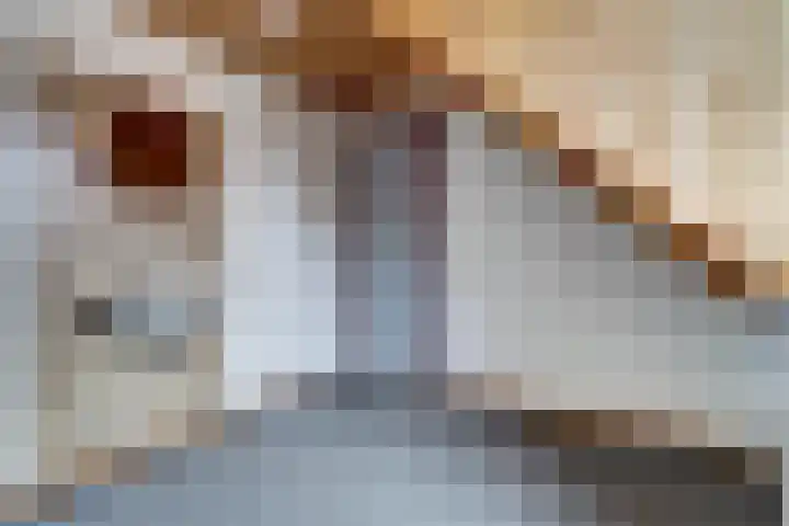 Voortsepad 47 Hilvarenbeek thumbnail 24