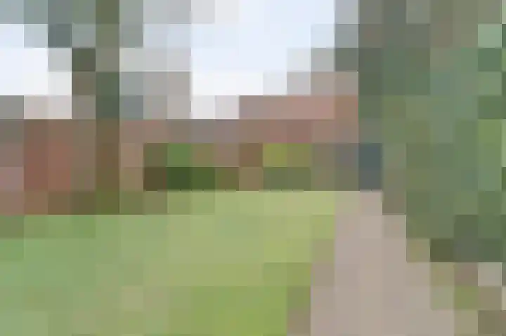 Voortsepad 47 Hilvarenbeek thumbnail 31