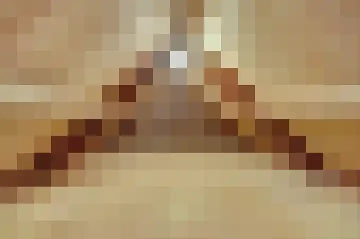 Voortsepad 47 Hilvarenbeek thumbnail 36