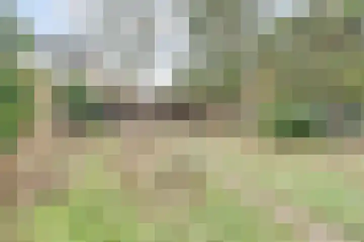 Voortsepad 47 Hilvarenbeek thumbnail 37