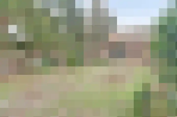 Voortsepad 47 Hilvarenbeek thumbnail 38