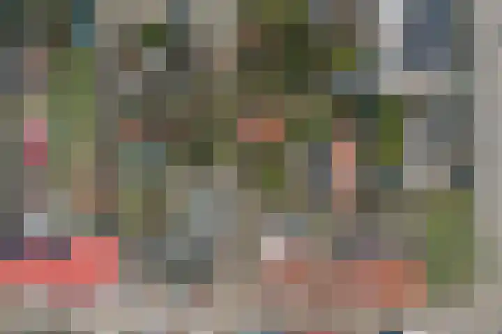 Voortsepad 47 Hilvarenbeek thumbnail 39