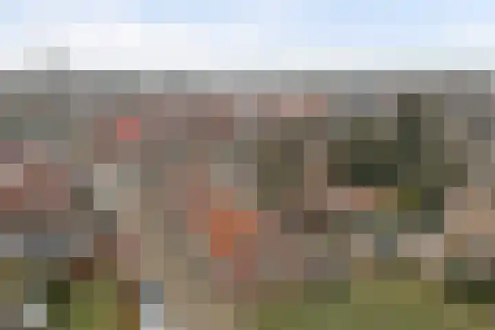 Voortsepad 47 Hilvarenbeek thumbnail 40