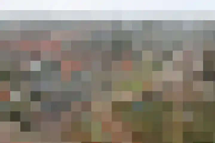 Voortsepad 47 Hilvarenbeek thumbnail 41