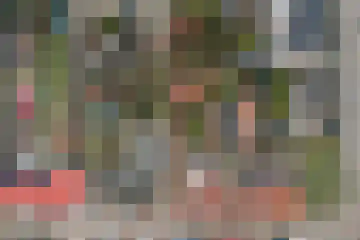 Voortsepad 47 Hilvarenbeek thumbnail 42