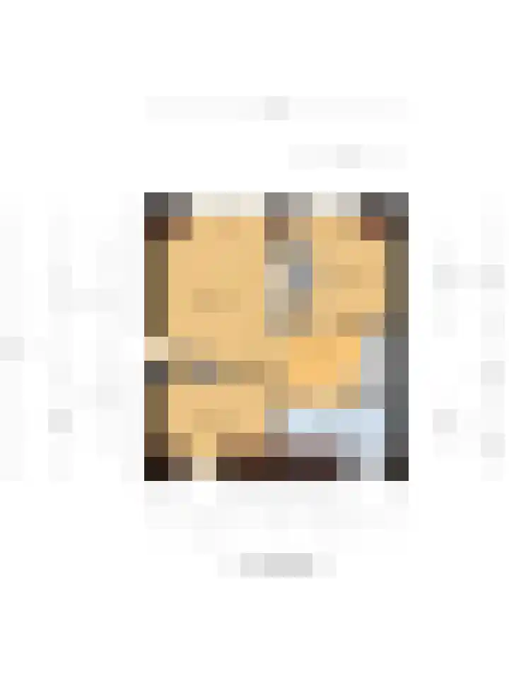 Voortsepad 47 Hilvarenbeek thumbnail 44