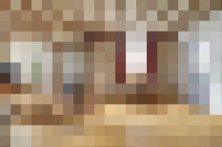 Voortsepad 47 Hilvarenbeek thumbnail 8