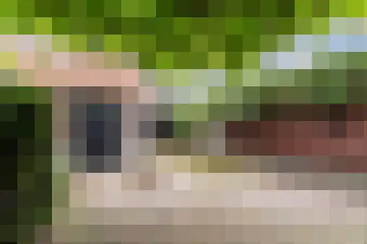 Voortsepad 57 Hilvarenbeek thumbnail 22