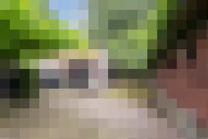 Voortsepad 57 Hilvarenbeek thumbnail 23