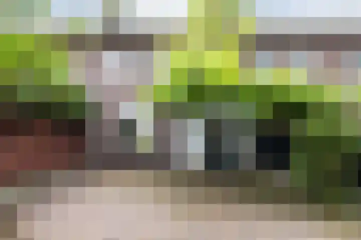 Voortsepad 57 Hilvarenbeek thumbnail 24
