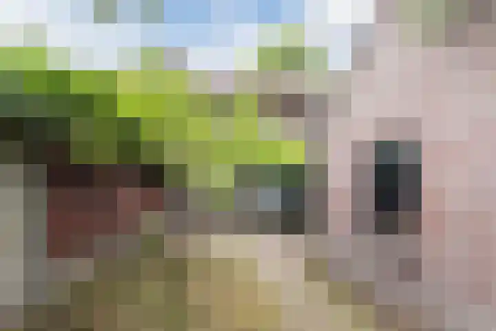 Voortsepad 57 Hilvarenbeek thumbnail 25