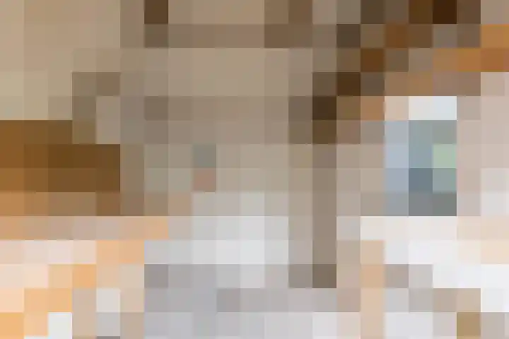 Voortsepad 57 Hilvarenbeek thumbnail 26