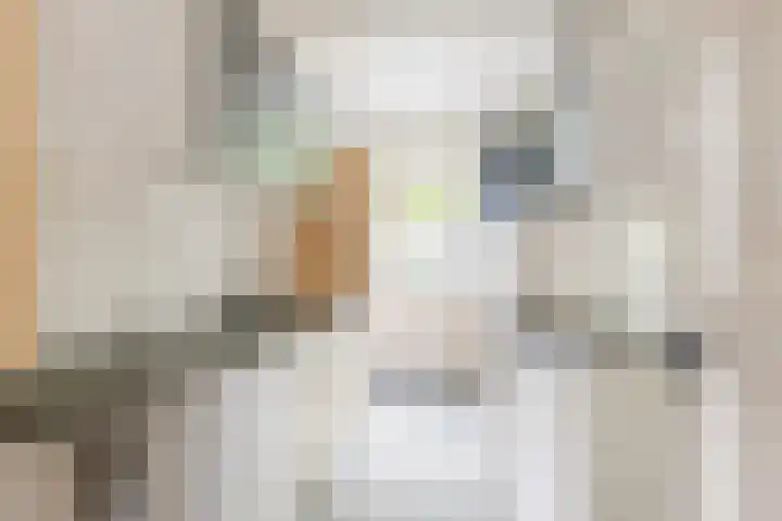 Voortsepad 57 Hilvarenbeek thumbnail 5