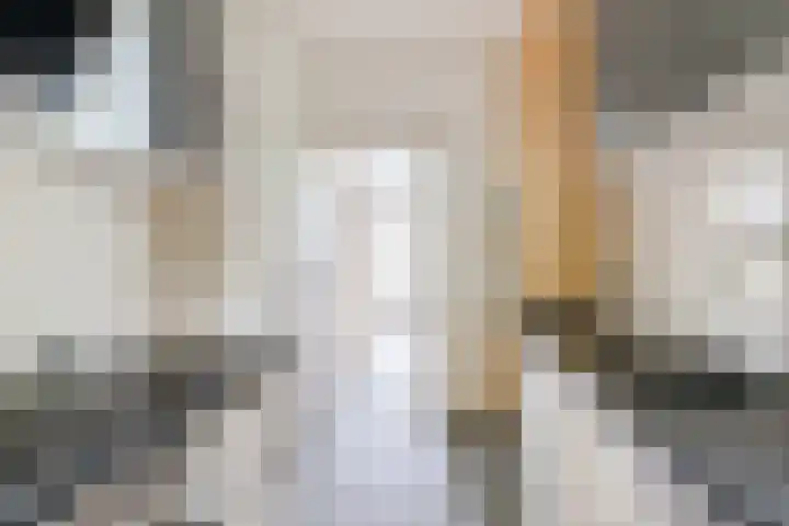 Voortsepad 57 Hilvarenbeek thumbnail 6
