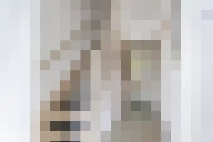 Voortsepad 57 Hilvarenbeek thumbnail 8