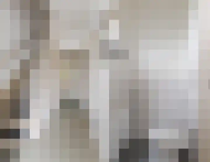 Voortsepad 57 Hilvarenbeek thumbnail 9