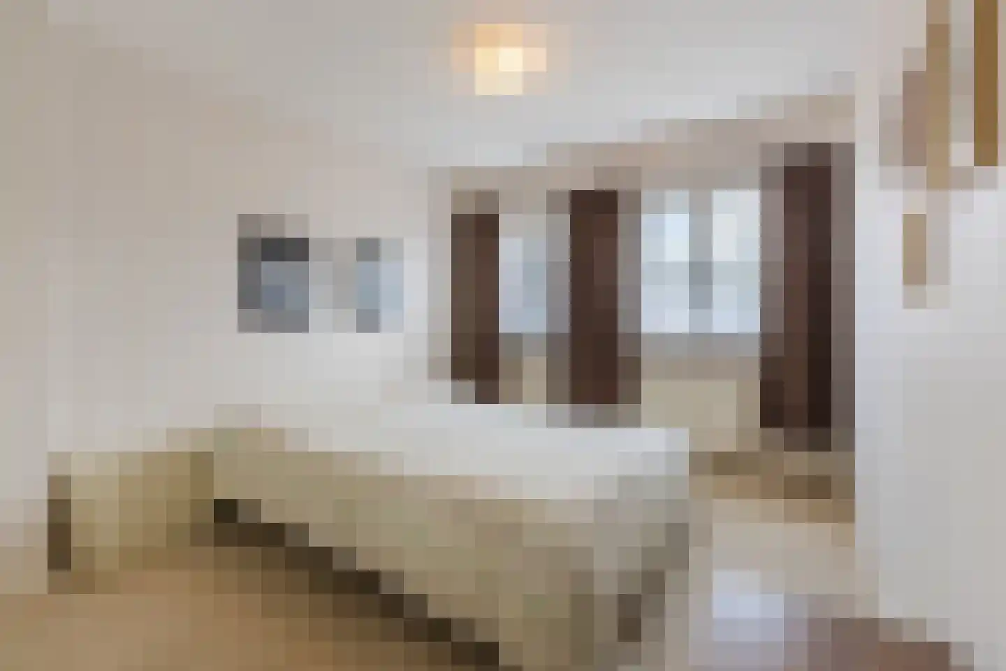 Voortsepad 63 Hilvarenbeek thumbnail 16