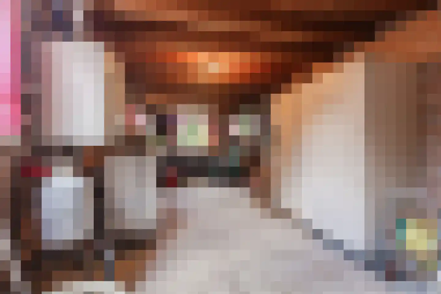 Voortsepad 63 Hilvarenbeek thumbnail 23