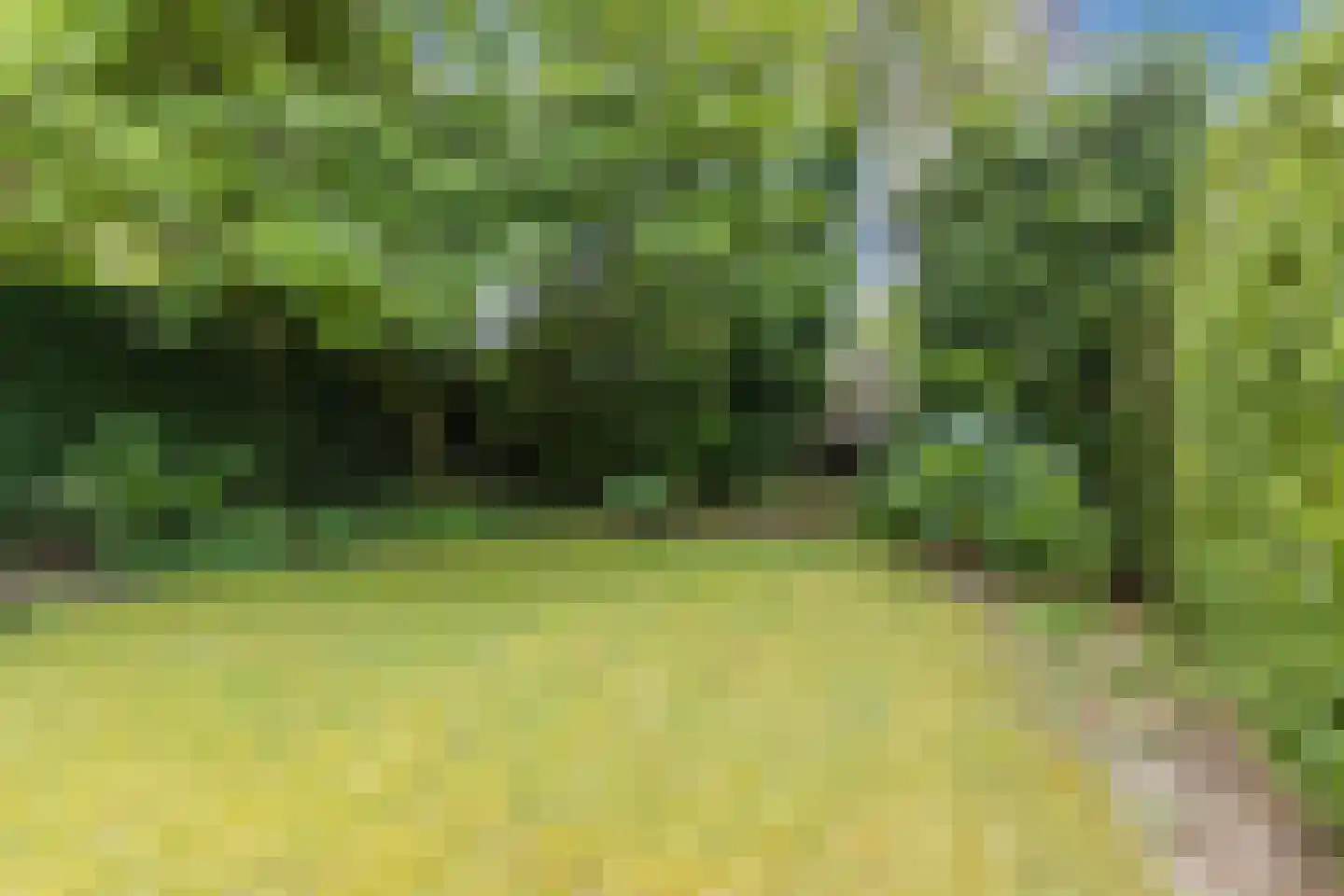 Voortsepad 63 Hilvarenbeek thumbnail 29