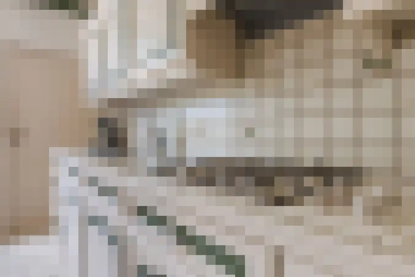 Voortsepad 63 Hilvarenbeek thumbnail 8